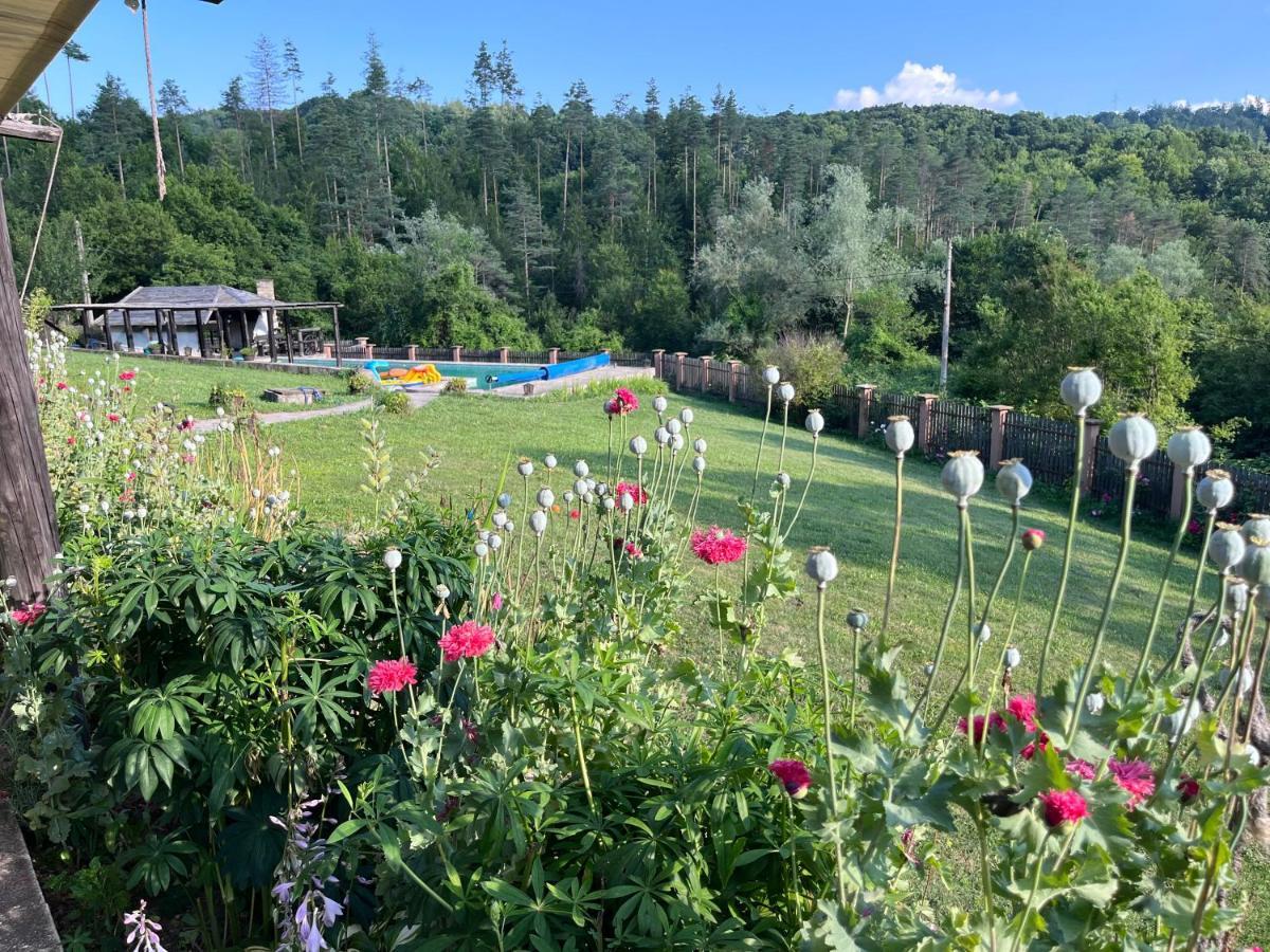 Agriturismo Hidden Paradise Villa Трявна Екстериор снимка