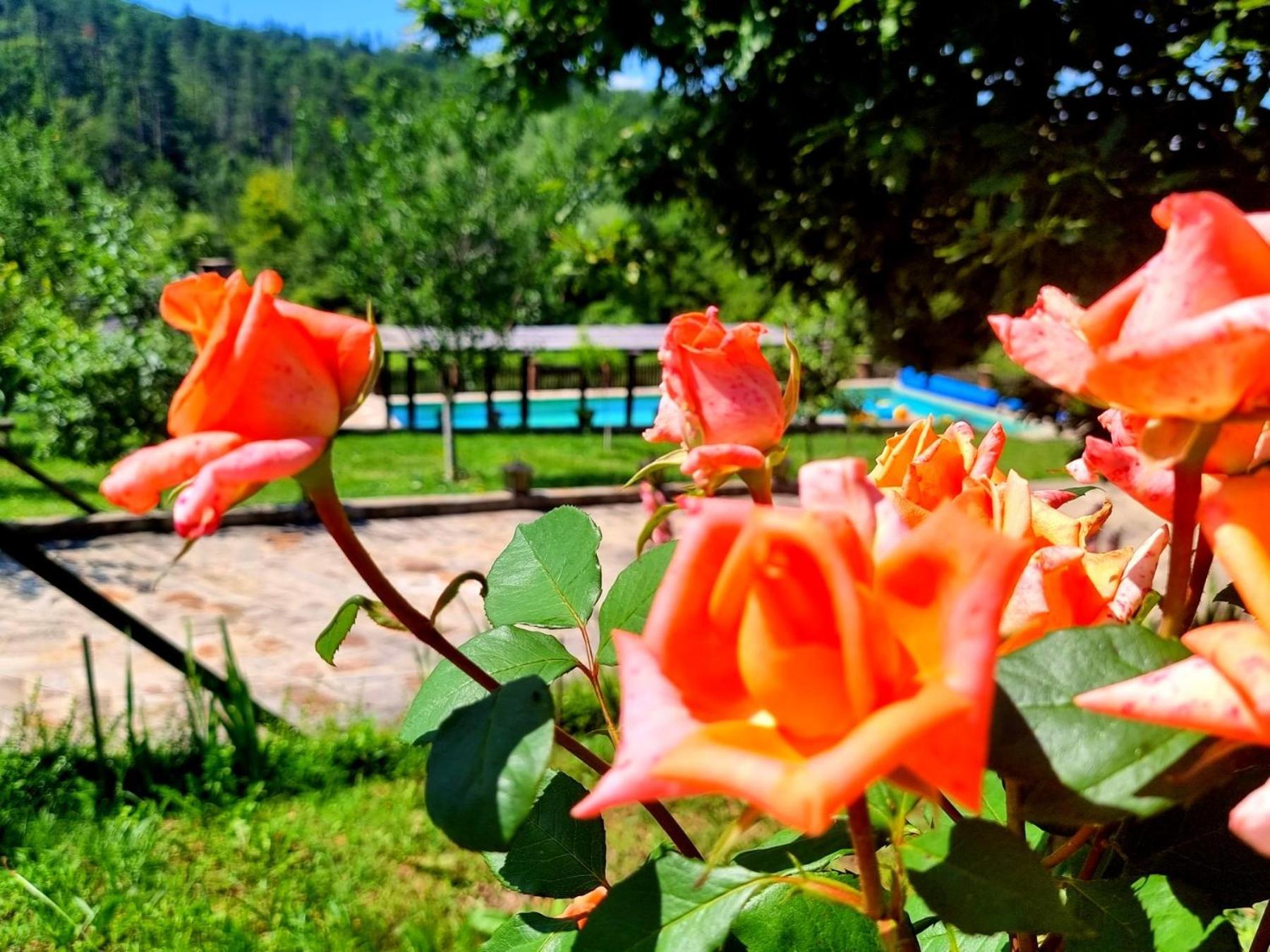 Agriturismo Hidden Paradise Villa Трявна Екстериор снимка