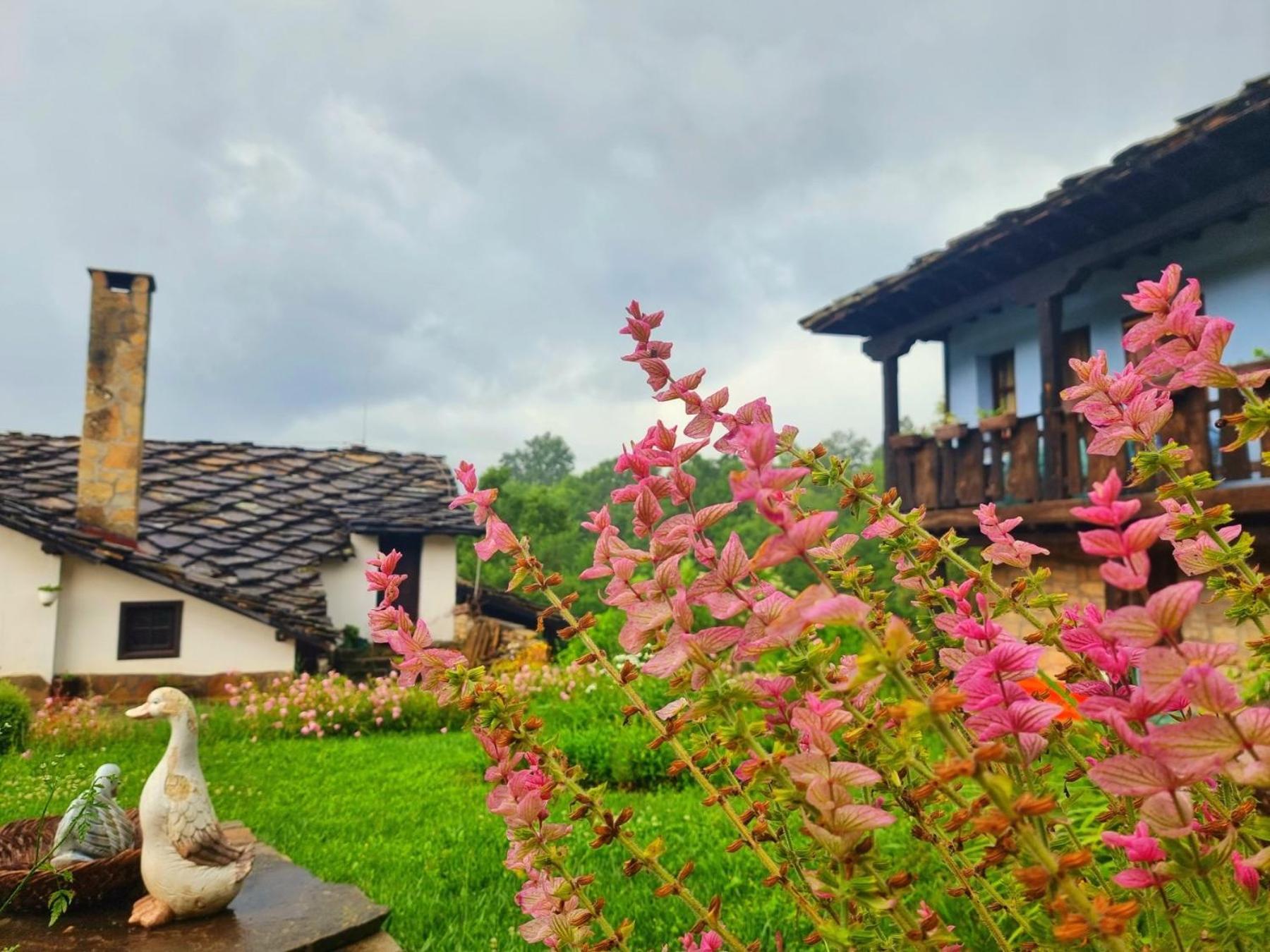 Agriturismo Hidden Paradise Villa Трявна Екстериор снимка
