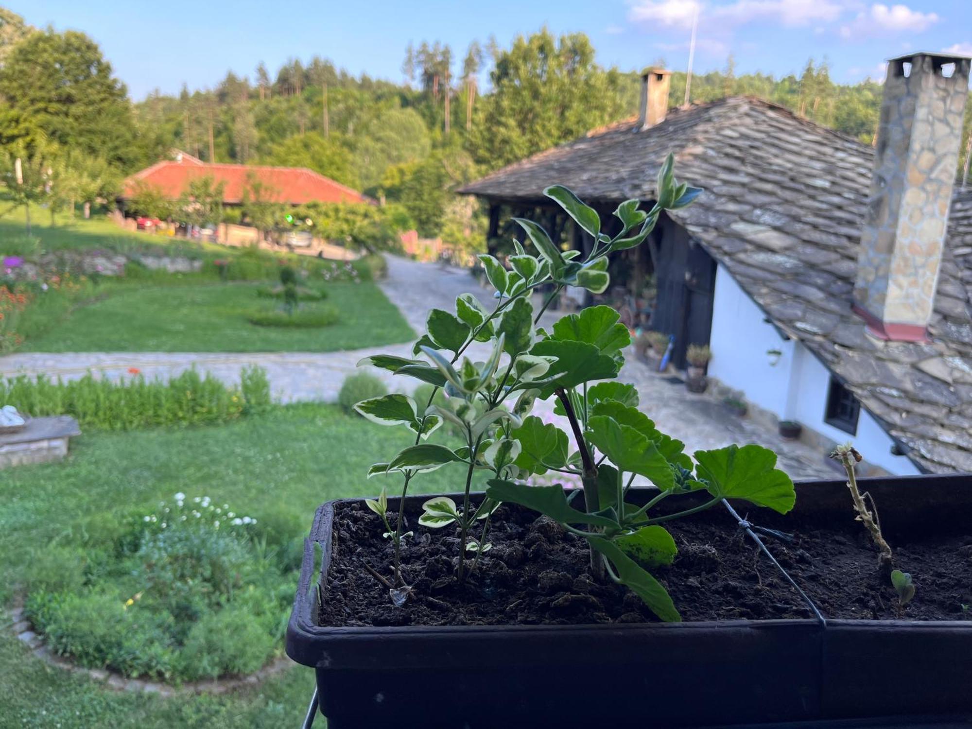 Agriturismo Hidden Paradise Villa Трявна Екстериор снимка